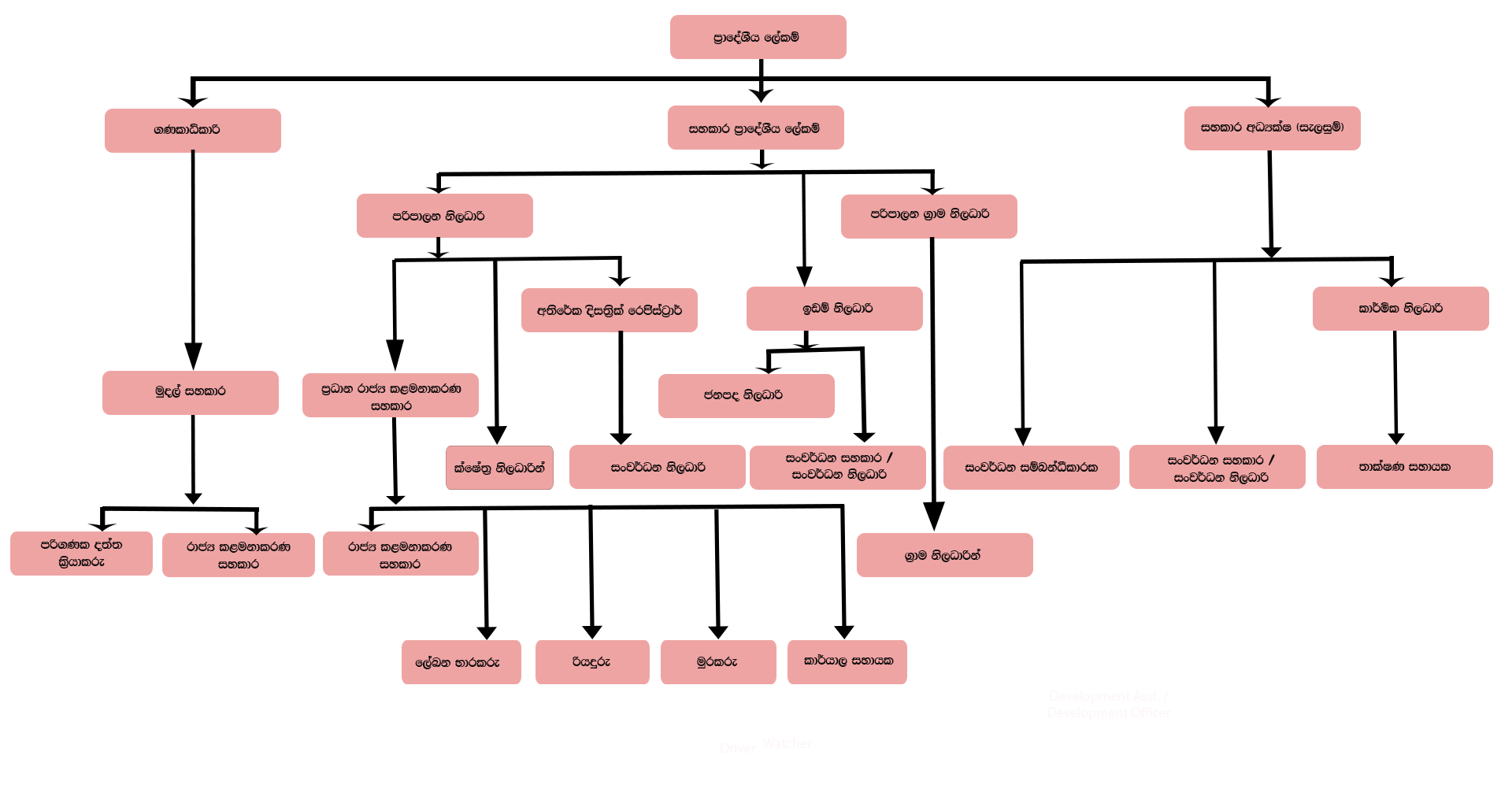 Organization Chart Sinhala